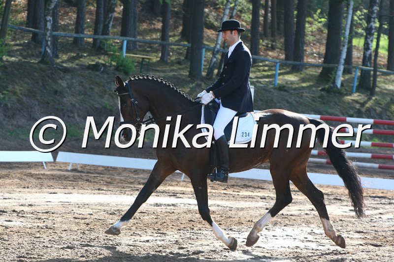 204M7611_Pretty Dancer_Dressur_L.JPG